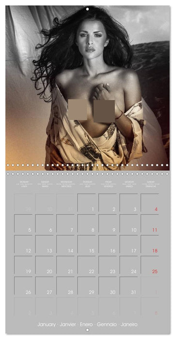 Erotica • Sensual and fascinating Moments (CALVENDO Monthly Calendar 2026)