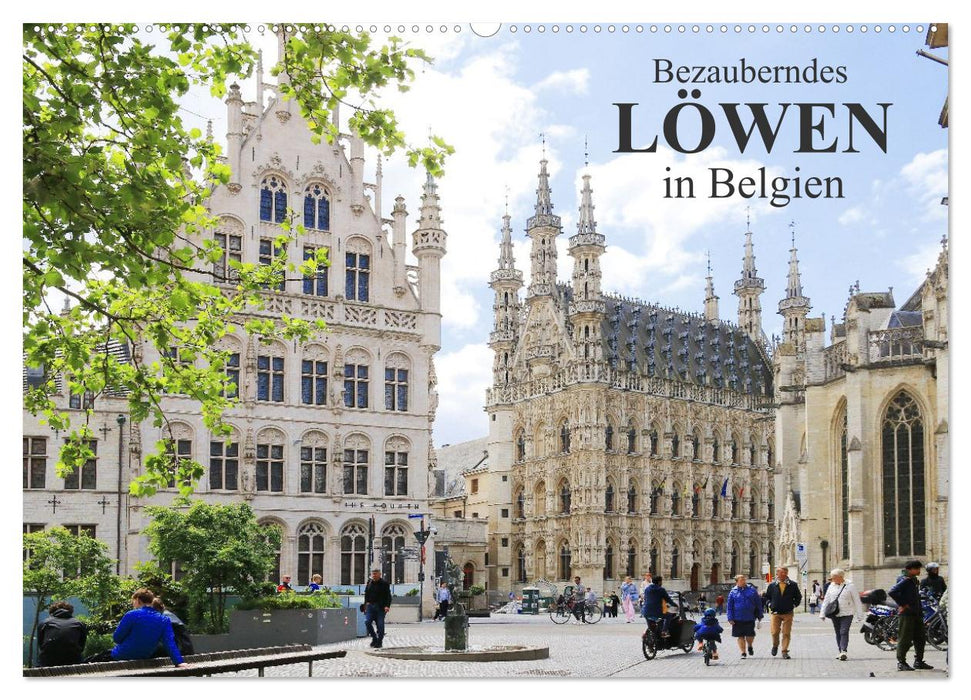 Bezauberndes Löwen in Belgien (CALVENDO Wandkalender 2026)