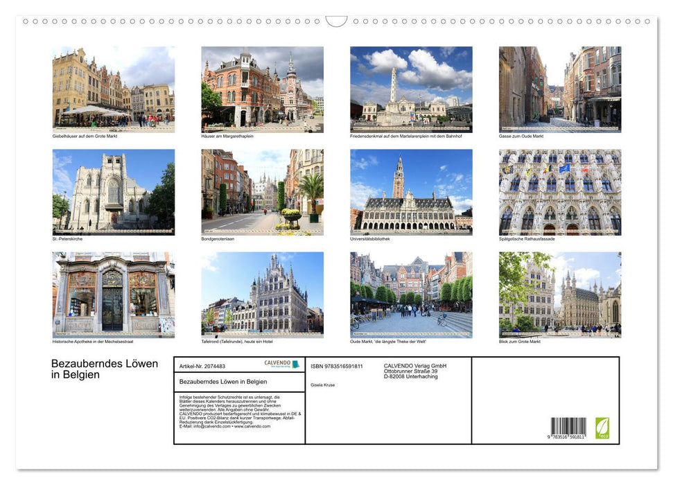 Bezauberndes Löwen in Belgien (CALVENDO Wandkalender 2026)
