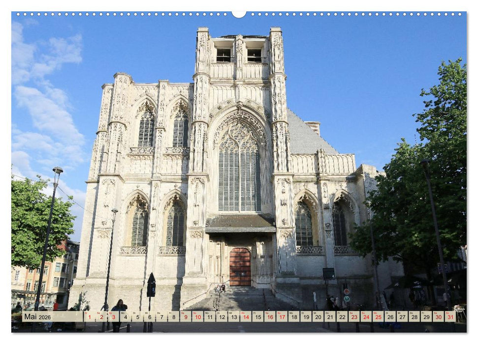 Bezauberndes Löwen in Belgien (CALVENDO Wandkalender 2026)