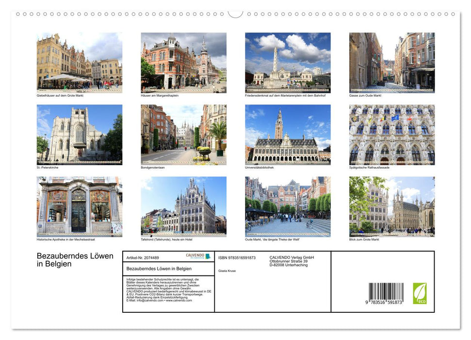 Bezauberndes Löwen in Belgien (CALVENDO Premium Wandkalender 2026)