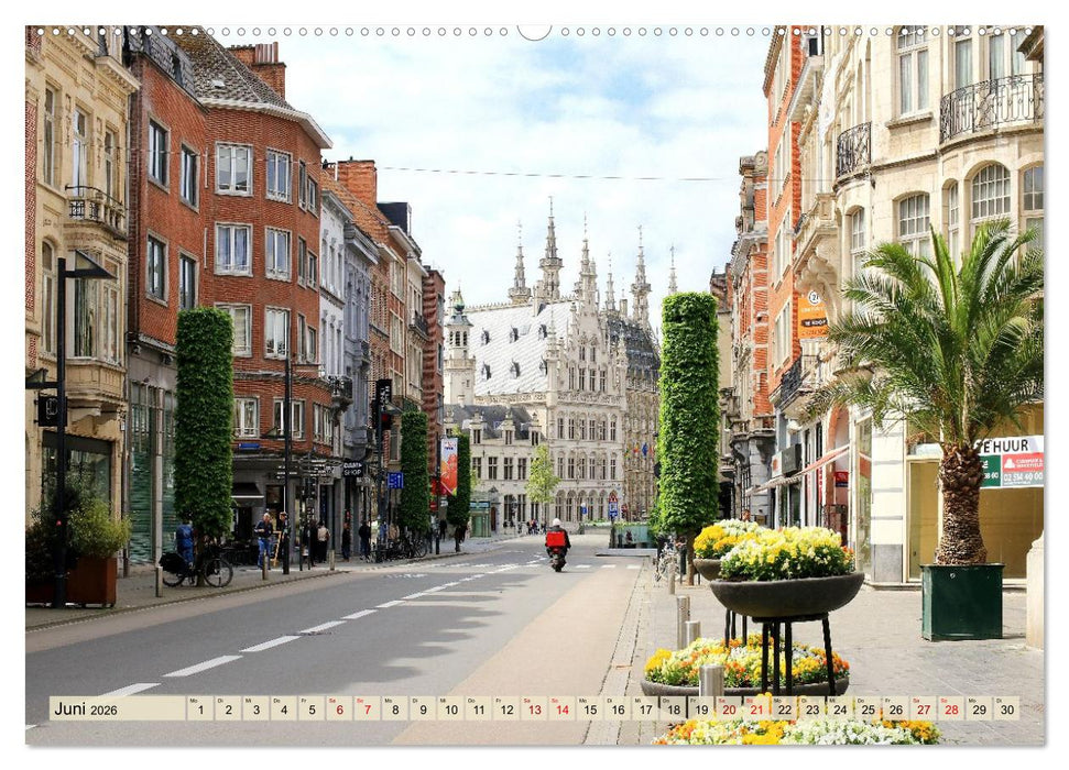 Bezauberndes Löwen in Belgien (CALVENDO Premium Wandkalender 2026)