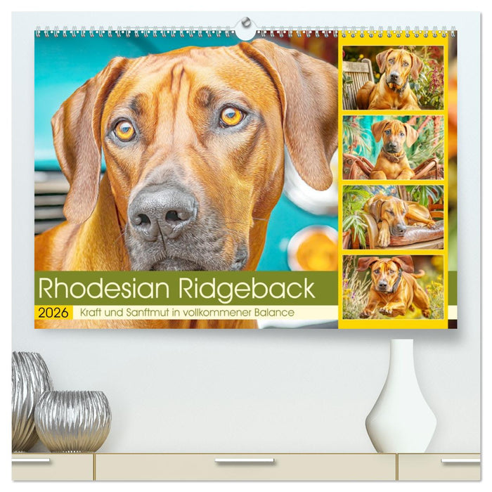 Rhodesian Ridgeback. Kraft und Sanftmut in vollkommener Balance (CALVENDO Premium Wandkalender 2026)