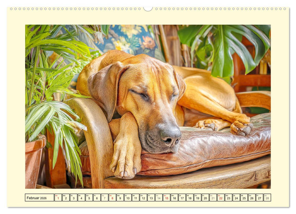 Rhodesian Ridgeback. Kraft und Sanftmut in vollkommener Balance (CALVENDO Premium Wandkalender 2026)