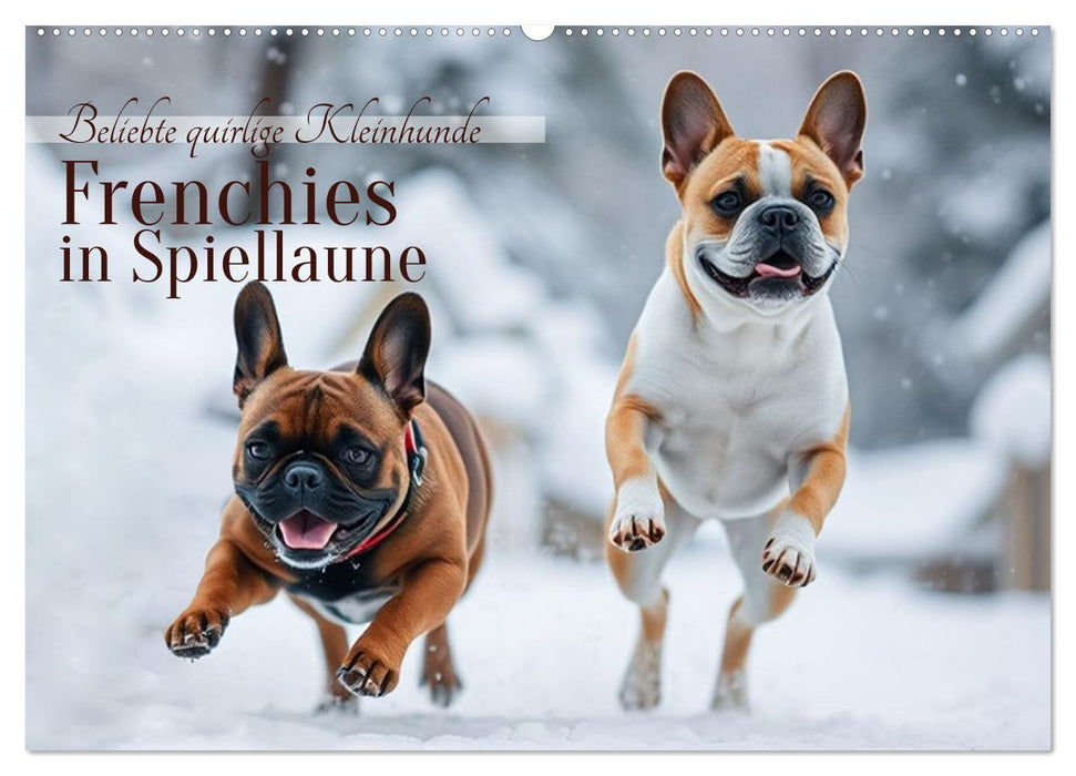 Frenchies in Spiellaune (CALVENDO Wandkalender 2026)