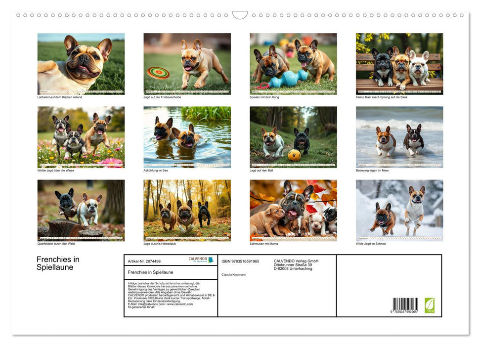 Frenchies in Spiellaune (CALVENDO Wandkalender 2026)