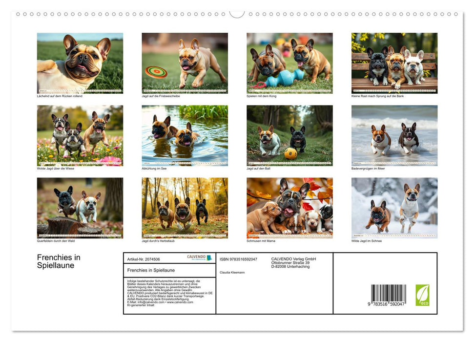 Frenchies in Spiellaune (CALVENDO Premium Wandkalender 2026)