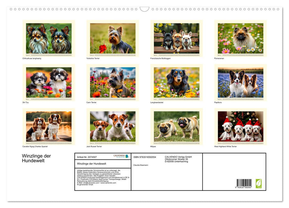 Winzlinge der Hundewelt (CALVENDO Wandkalender 2026)