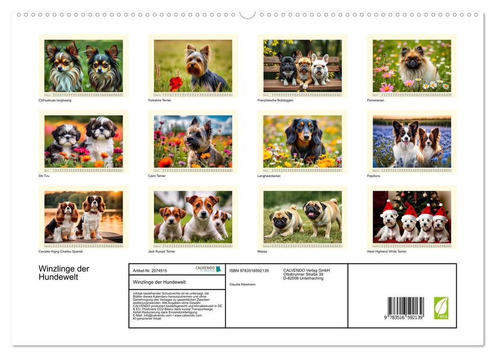 Winzlinge der Hundewelt (CALVENDO Premium Wandkalender 2026)