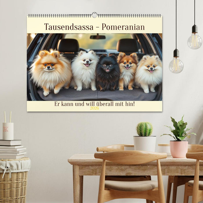 Tausendsassa - Pomeranian (CALVENDO Wandkalender 2026)