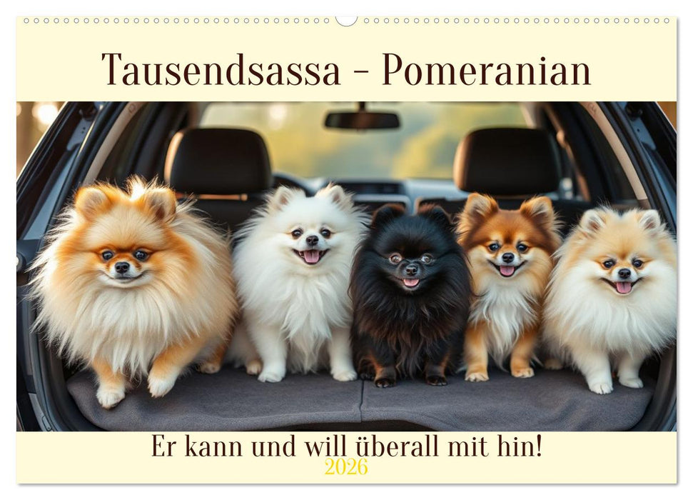 Tausendsassa - Pomeranian (CALVENDO Wandkalender 2026)