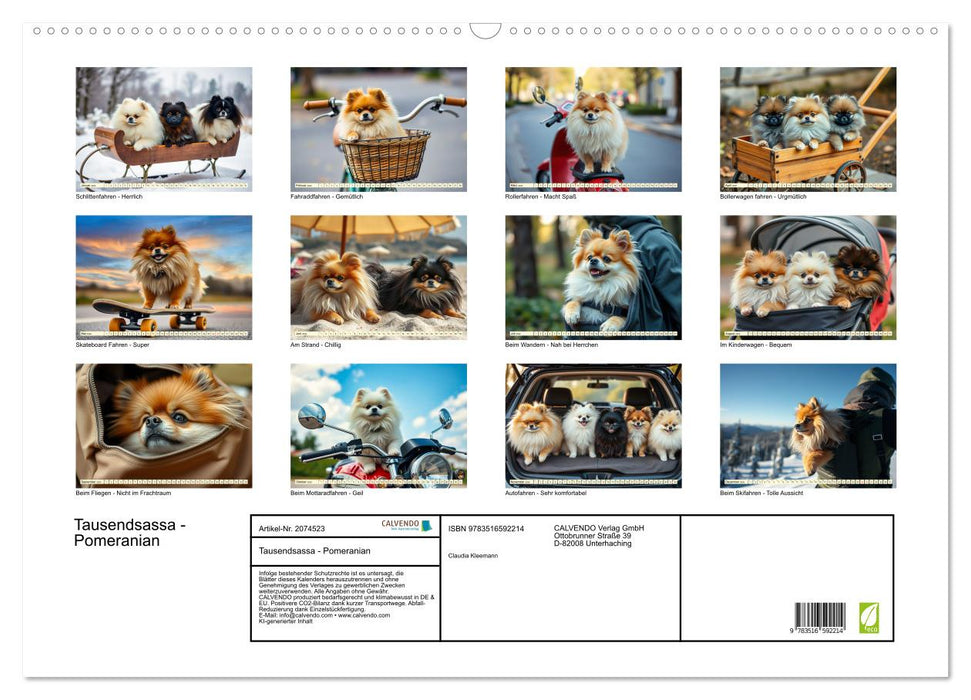Tausendsassa - Pomeranian (CALVENDO Wandkalender 2026)