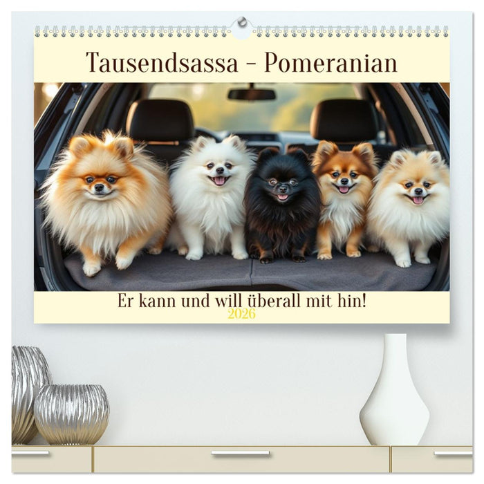 Tausendsassa - Pomeranian (CALVENDO Premium Wandkalender 2026)