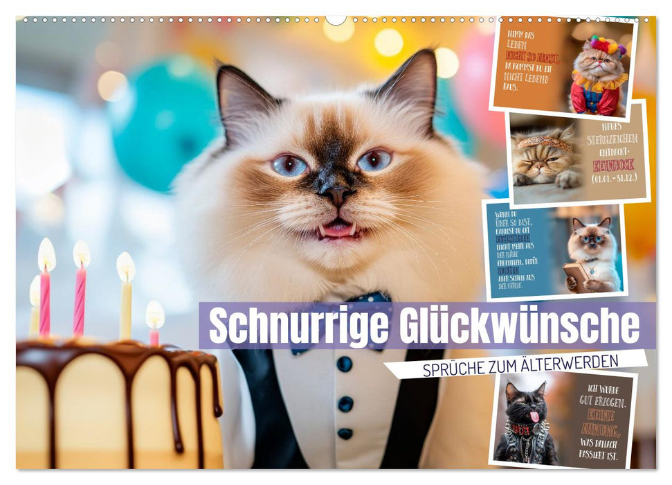 Schnurrige Glückwünsche - Sprüche zum Älterwerden (CALVENDO Wandkalender 2026)