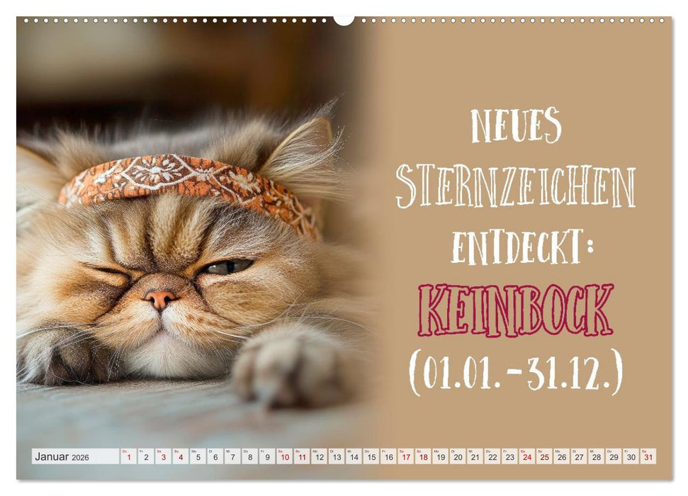 Schnurrige Glückwünsche - Sprüche zum Älterwerden (CALVENDO Wandkalender 2026)