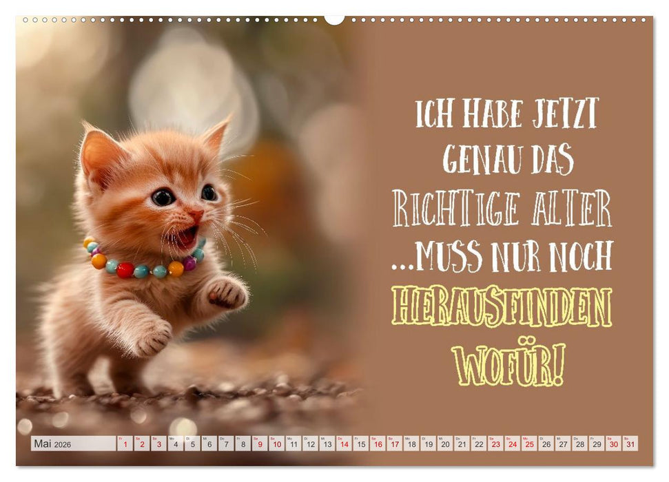 Schnurrige Glückwünsche - Sprüche zum Älterwerden (CALVENDO Wandkalender 2026)
