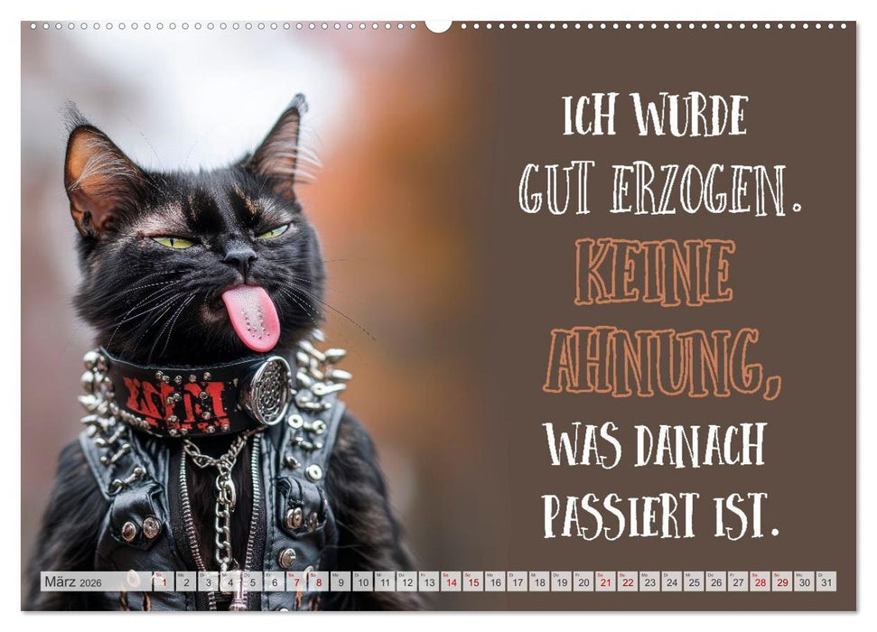 Schnurrige Glückwünsche - Sprüche zum Älterwerden (CALVENDO Premium Wandkalender 2026)