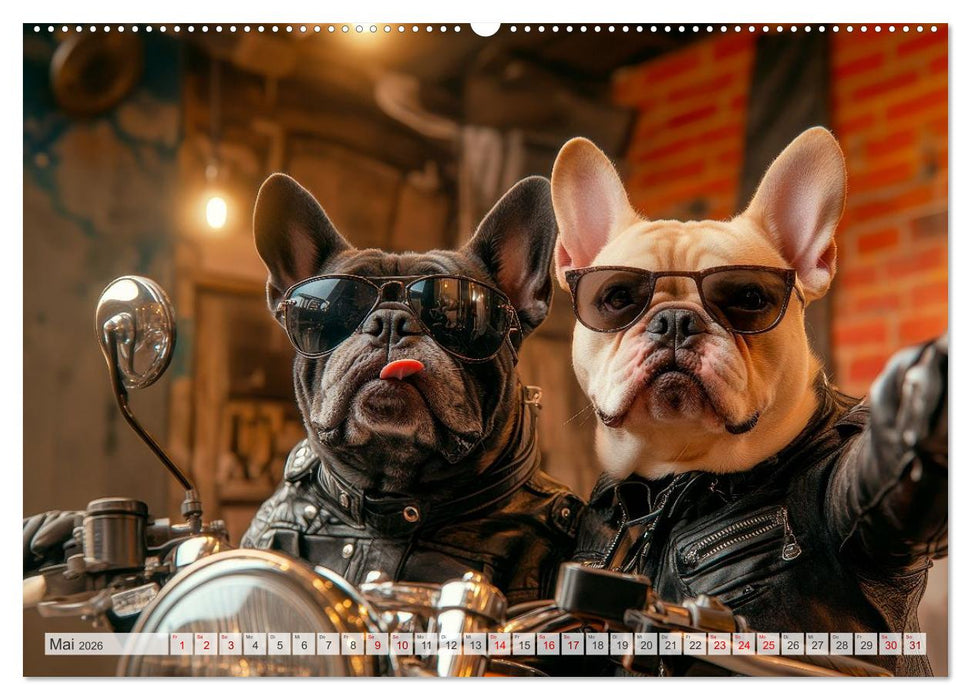 HUNDE-SELFIES Tierischer Outdoorspaß (CALVENDO Premium Wandkalender 2026)