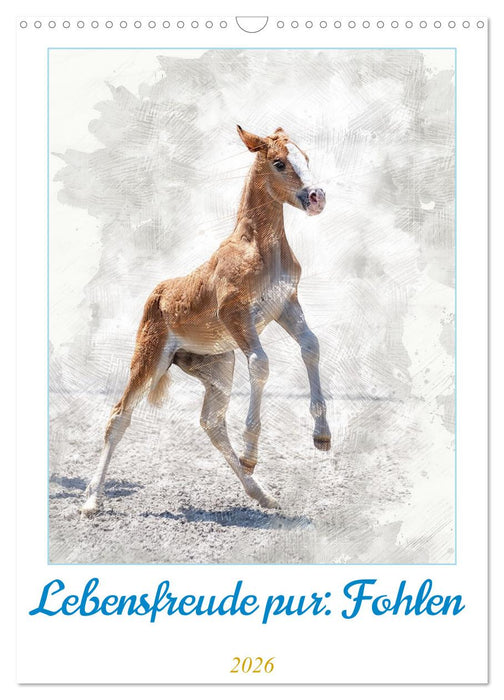 Lebensfreude pur: Fohlen (CALVENDO Wandkalender 2026)