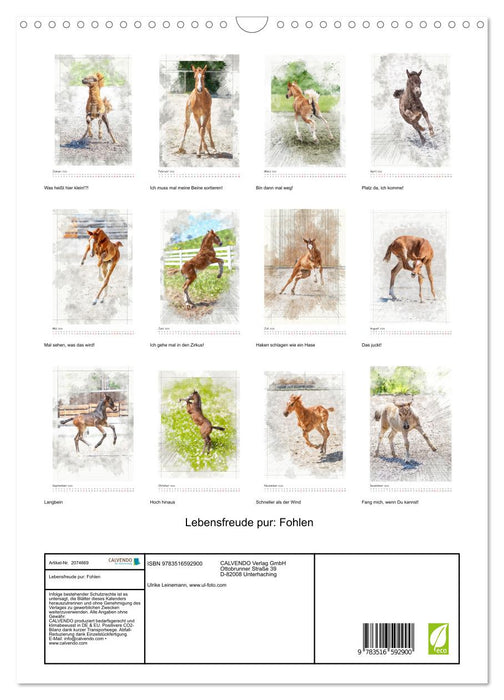 Lebensfreude pur: Fohlen (CALVENDO Wandkalender 2026)