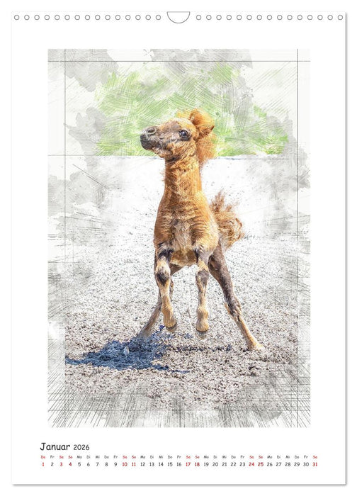 Lebensfreude pur: Fohlen (CALVENDO Wandkalender 2026)