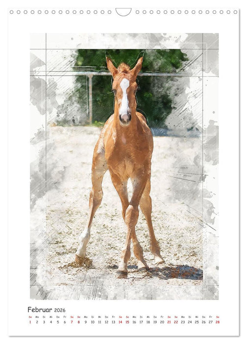 Lebensfreude pur: Fohlen (CALVENDO Wandkalender 2026)