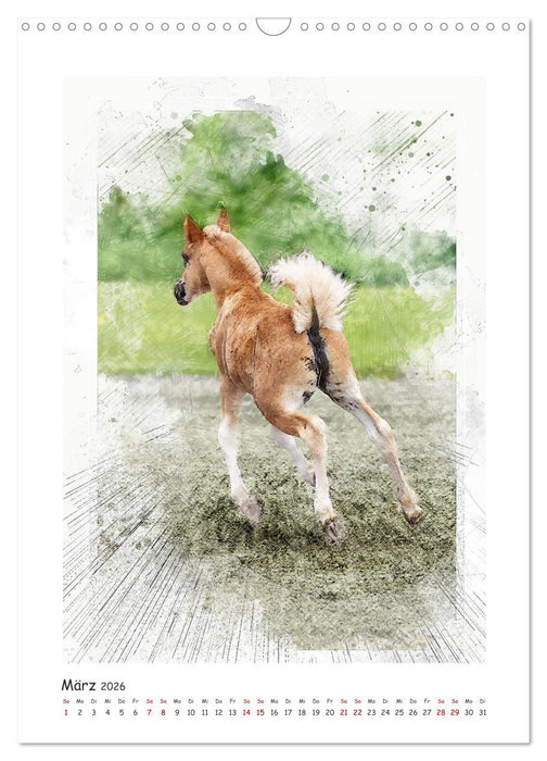 Lebensfreude pur: Fohlen (CALVENDO Wandkalender 2026)