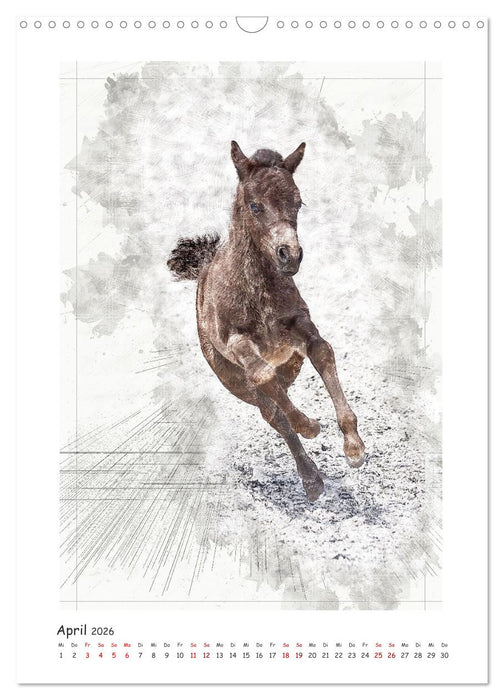 Lebensfreude pur: Fohlen (CALVENDO Wandkalender 2026)