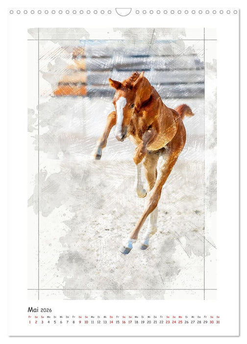 Lebensfreude pur: Fohlen (CALVENDO Wandkalender 2026)