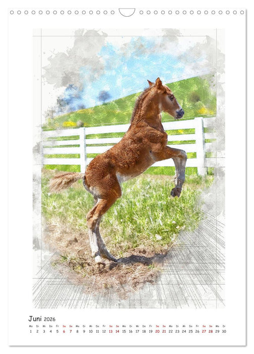 Lebensfreude pur: Fohlen (CALVENDO Wandkalender 2026)