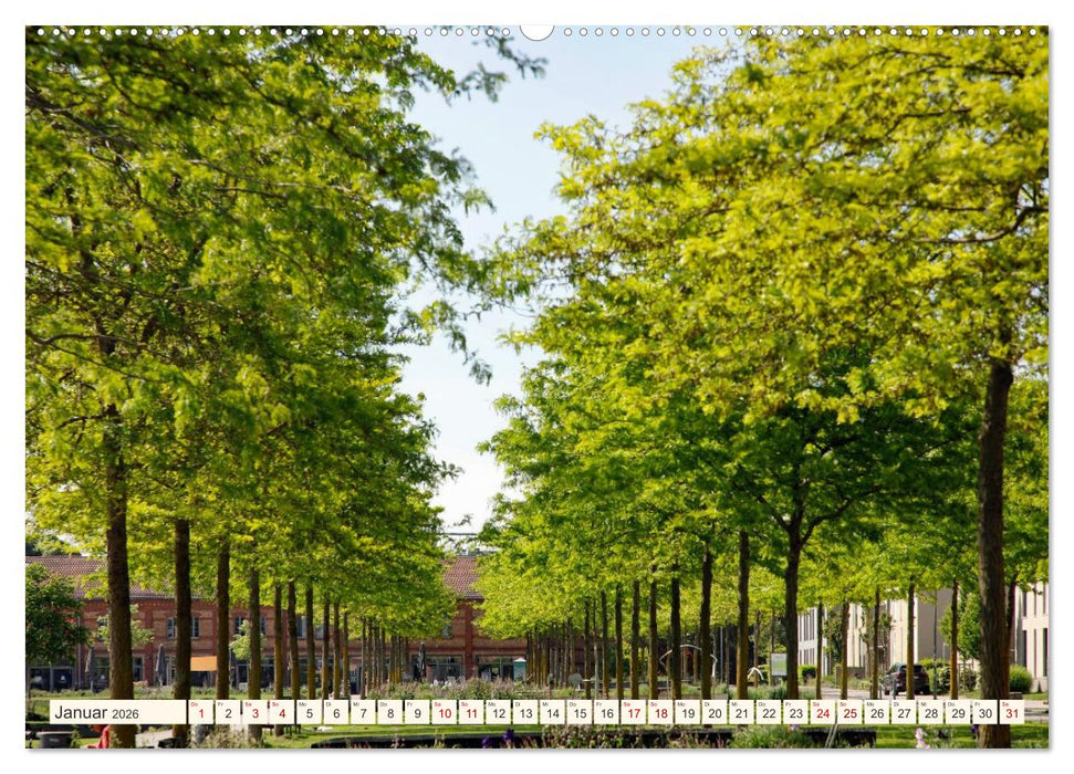 So schön ist Landau (CALVENDO Wandkalender 2026)