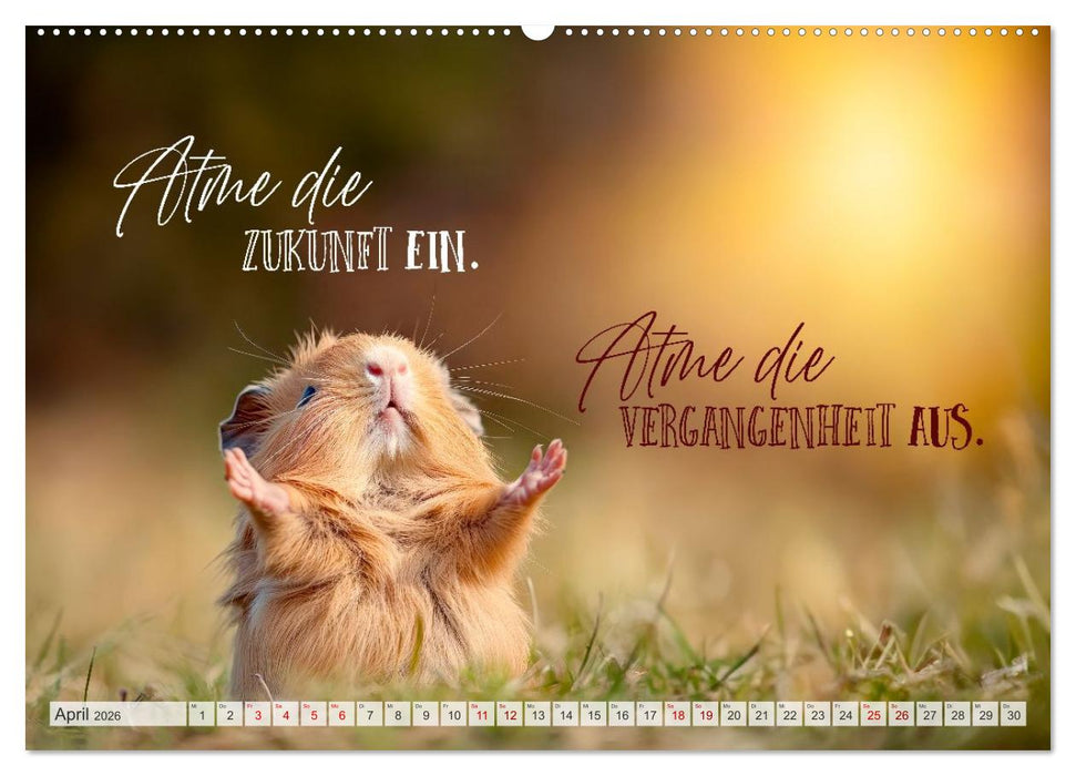 SEELENZEIT Ein Jahr voller Achtsamkeit (CALVENDO Wandkalender 2026)