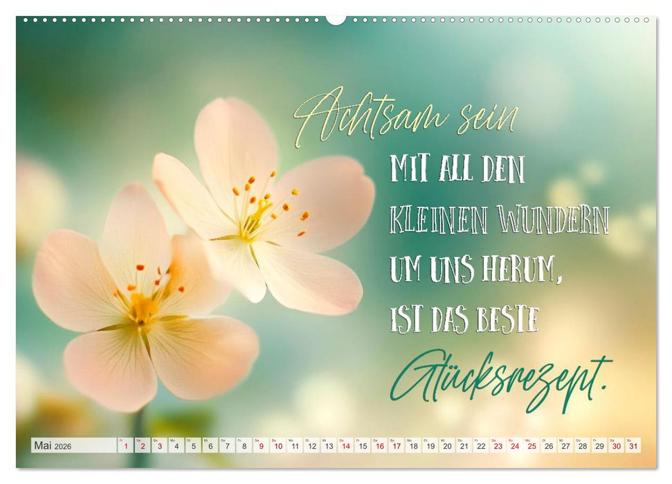 SEELENZEIT Ein Jahr voller Achtsamkeit (CALVENDO Wandkalender 2026)