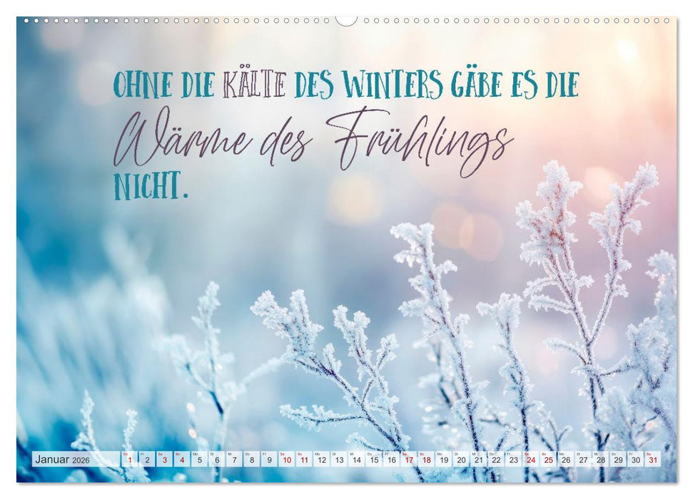 SEELENZEIT Ein Jahr voller Achtsamkeit (CALVENDO Premium Wandkalender 2026)