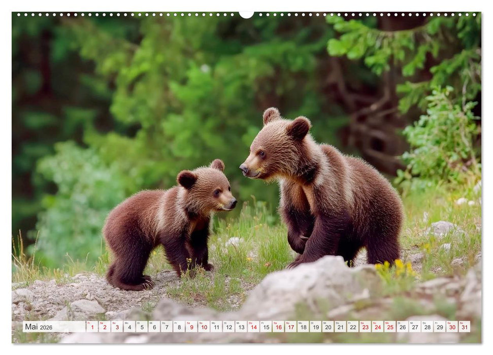 TIERKINDER Abenteuer Wildnis (CALVENDO Wandkalender 2026)