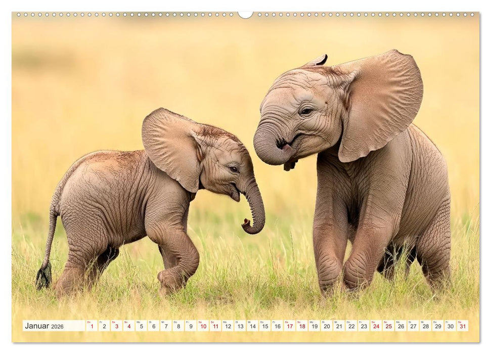 TIERKINDER Abenteuer Wildnis (CALVENDO Premium Wandkalender 2026)