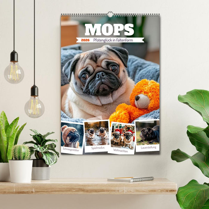 MOPS Pfotenglück in Faltenform (CALVENDO Wandkalender 2026)