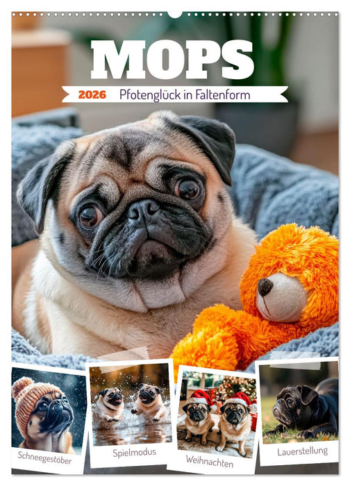 MOPS Pfotenglück in Faltenform (CALVENDO Wandkalender 2026)
