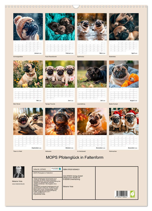 MOPS Pfotenglück in Faltenform (CALVENDO Wandkalender 2026)