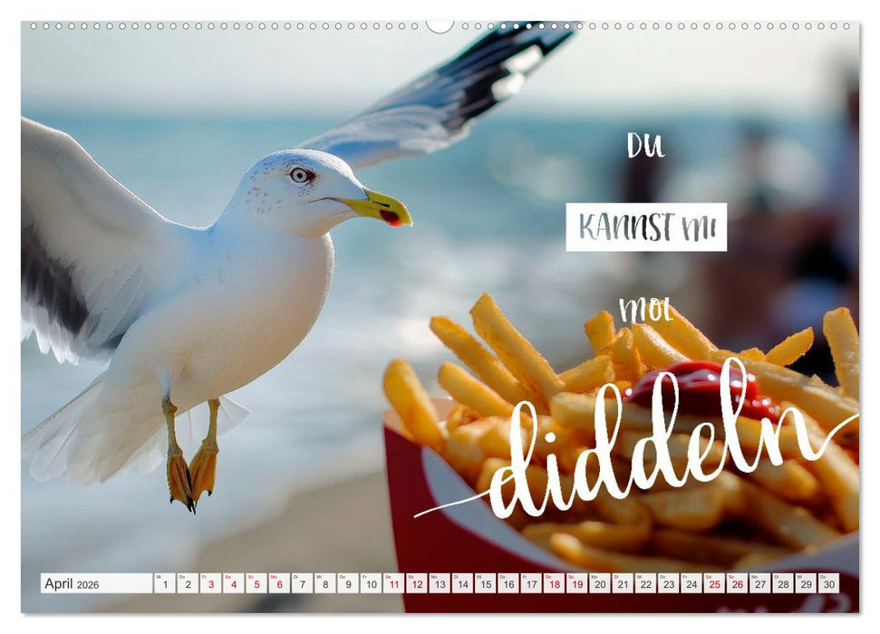 Meerblick und Plattschnack (CALVENDO Premium Wandkalender 2026)