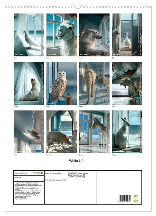 White Life (CALVENDO Wandkalender 2026)