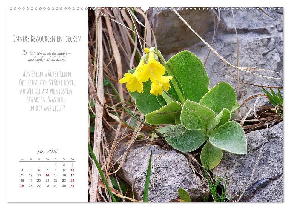 Was uns trägt, wenn alles wankt. Über das Wachsen an Krisen (CALVENDO Premium Wandkalender 2026)