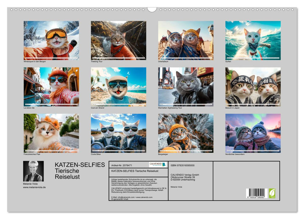 KATZEN-SELFIES Tierische Reiselust (CALVENDO Wandkalender 2026)