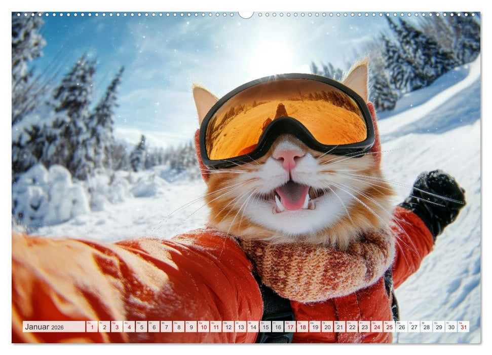 KATZEN-SELFIES Tierische Reiselust (CALVENDO Wandkalender 2026)
