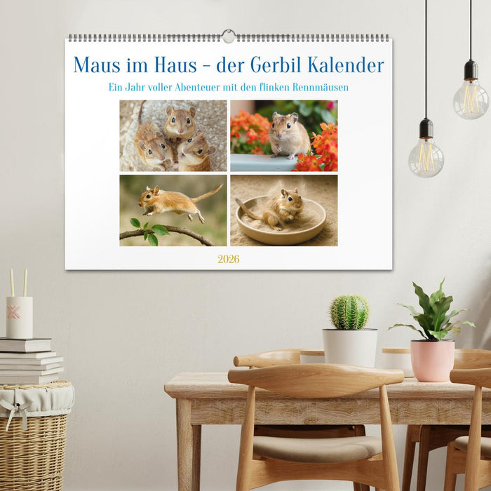 Maus im Haus - der Gerbil Kalender (CALVENDO Wandkalender 2026)