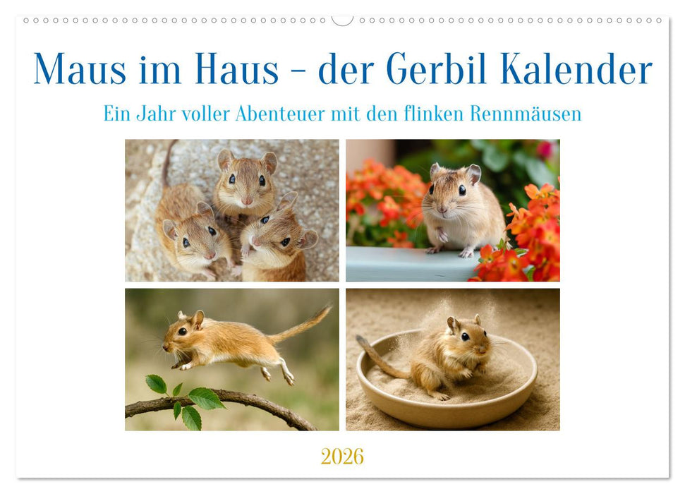 Maus im Haus - der Gerbil Kalender (CALVENDO Wandkalender 2026)