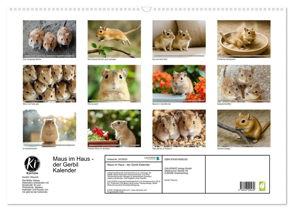 Maus im Haus - der Gerbil Kalender (CALVENDO Wandkalender 2026)