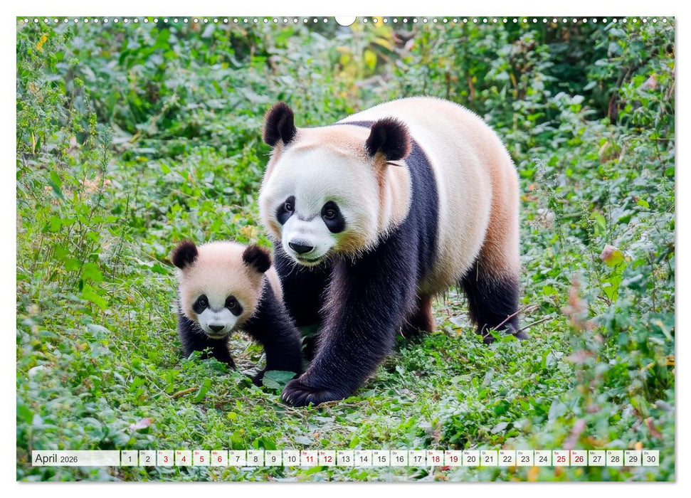 Mütterherzen im wilden Tierreich (CALVENDO Premium Wandkalender 2026)