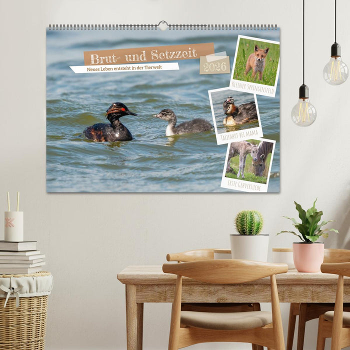 Brut- und Setzzeit. Neues Leben entsteht. (CALVENDO Wandkalender 2026)