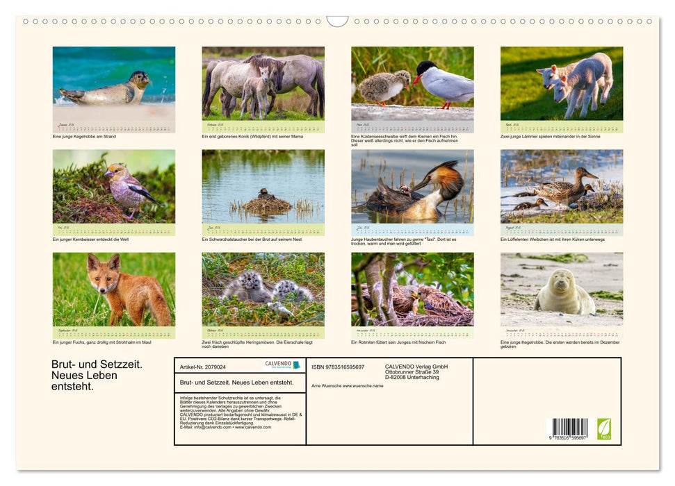 Brut- und Setzzeit. Neues Leben entsteht. (CALVENDO Wandkalender 2026)